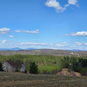 Photo #3 of Skyline Road, Appomattox, VA 3.4 acres