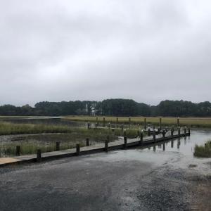 Photo #2 of FOX GROVE RD, PARKSLEY, VA 5.9 acres