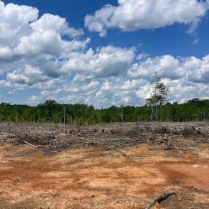 Photo #2 of Germantown Road, Keysville, VA 32.5 acres