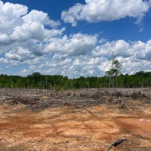 Photo #3 of Germantown Road, Keysville, VA 83.4 acres