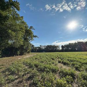 Photo #4 of Lot B1 CLAM COURT, BELLE HAVEN, VA 17.7 acres