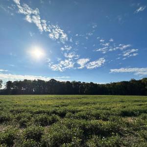 Photo #5 of Lot B1 CLAM COURT, BELLE HAVEN, VA 17.7 acres