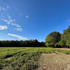 Photo #6 of Lot B1 CLAM COURT, BELLE HAVEN, VA 17.7 acres