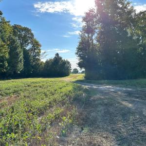 Photo #9 of Lot B1 CLAM COURT, BELLE HAVEN, VA 17.7 acres