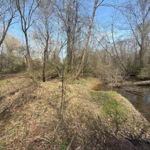 Photo #14 of Parsons Road, Ashland, VA 31.1 acres