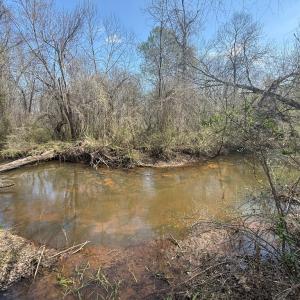 Photo #16 of Parsons Road, Ashland, VA 31.1 acres