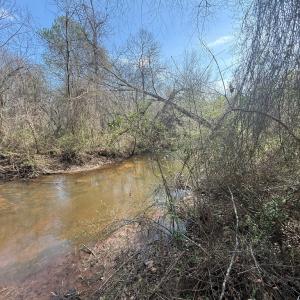 Photo #17 of Parsons Road, Ashland, VA 31.1 acres