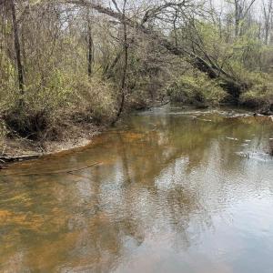 Photo #2 of Parsons Road, Ashland, VA 31.1 acres