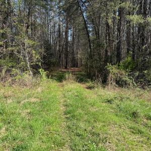 Photo #3 of Parsons Road, Ashland, VA 31.1 acres