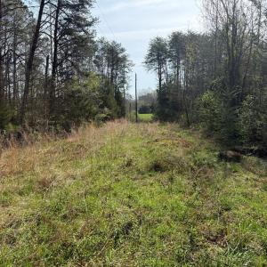 Photo #5 of Parsons Road, Ashland, VA 31.1 acres