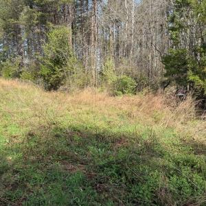 Photo #7 of Parsons Road, Ashland, VA 31.1 acres