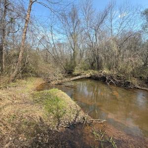 Photo #15 of Parsons Road, Ashland, VA 31.1 acres