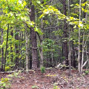 Photo #2 of Old Tower Hill Rd, Dillwyn, VA 2.0 acres