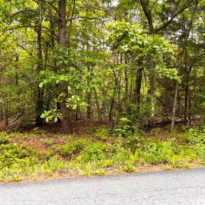 Photo #3 of Old Tower Hill Rd, Dillwyn, VA 2.0 acres