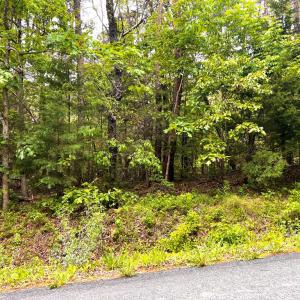 Photo #4 of Old Tower Hill Rd, Dillwyn, VA 2.0 acres