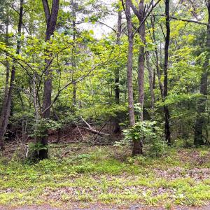 Photo #5 of Old Tower Hill Rd, Dillwyn, VA 2.0 acres