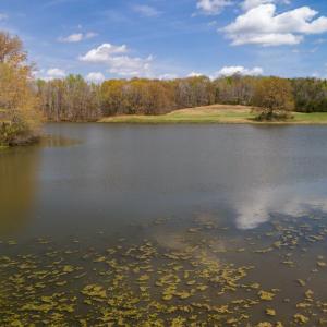 Photo #3 of Lake Pointe Ct, Pamplin, VA 2.2 acres