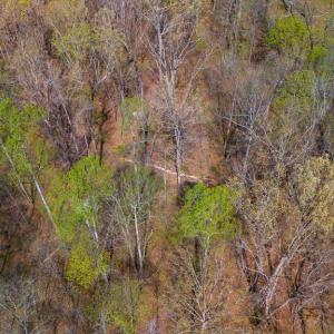 Photo #5 of Lake Pointe Ct, Pamplin, VA 2.2 acres