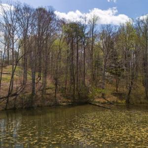 Photo #8 of Lake Pointe Ct, Pamplin, VA 2.2 acres