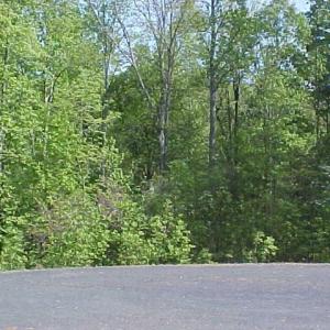 Photo #2 of Lake Pointe Court, Pamplin, VA 3.4 acres