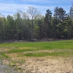 Photo #3 of Farmville Rd, Meherrin, VA 12.7 acres