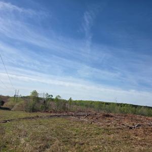 Photo #2 of Woodland Lane, Drakes Branch, VA 101.2 acres