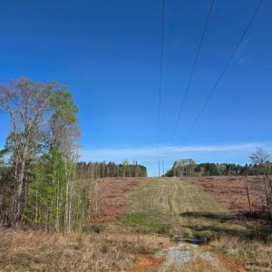 Photo #3 of Woodland Lane, Drakes Branch, VA 101.2 acres