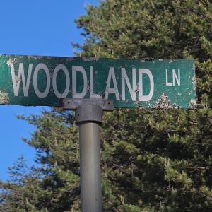 Photo #5 of Woodland Lane, Drakes Branch, VA 101.2 acres