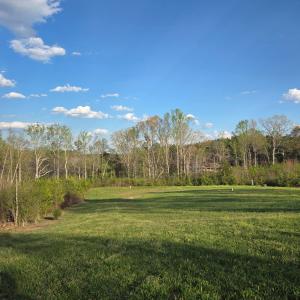 Lot View