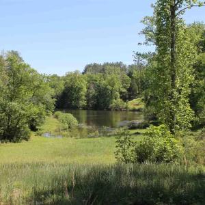 Photo #12 of 17 LANGDON WOODS DR, DYKE, VA 3.1 acres