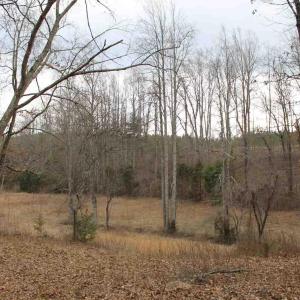 Photo #13 of 17 LANGDON WOODS DR, DYKE, VA 3.1 acres