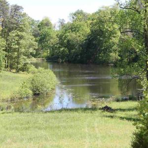 Photo #17 of 17 LANGDON WOODS DR, DYKE, VA 3.1 acres