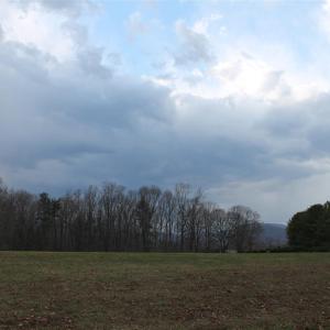 Photo #4 of 17 LANGDON WOODS DR, DYKE, VA 3.1 acres