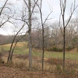 Photo #9 of 17 LANGDON WOODS DR, DYKE, VA 3.1 acres