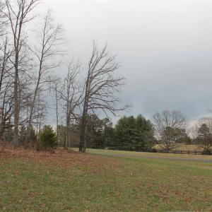 Photo #10 of 17 LANGDON WOODS DR, DYKE, VA 3.1 acres