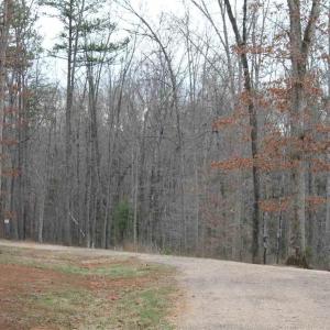 Photo #4 of 670 LANGDON DR, DYKE, VA 4.4 acres