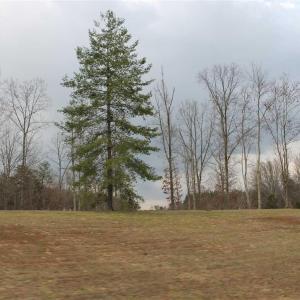 Photo #13 of 670 LANGDON DR, DYKE, VA 4.4 acres