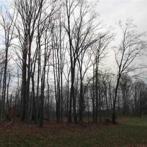 Photo #15 of 670 LANGDON DR, DYKE, VA 4.4 acres