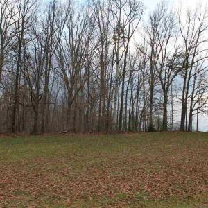 Photo #16 of 670 LANGDON DR, DYKE, VA 4.4 acres
