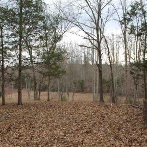 Photo #6 of 670 LANGDON DR, DYKE, VA 4.4 acres