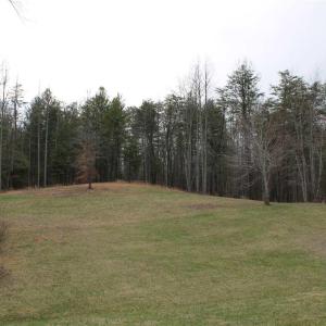 Photo #9 of 670 LANGDON DR, DYKE, VA 4.4 acres