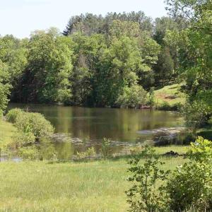 Photo #10 of 670 LANGDON DR, DYKE, VA 4.4 acres