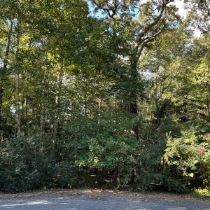 Photo #3 of Lot 22 SANDPIPER LANE, ATLANTIC, VA 1.5 acres