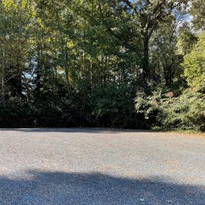 Photo #4 of Lot 22 SANDPIPER LANE, ATLANTIC, VA 1.5 acres