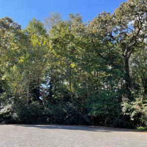 Photo #5 of Lot 22 SANDPIPER LANE, ATLANTIC, VA 1.5 acres