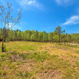 Photo #11 of Tyler Road, Crewe, VA 10.0 acres