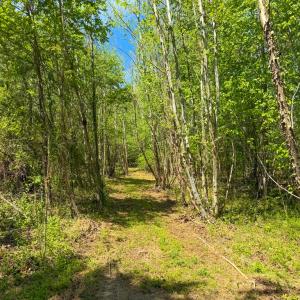 Photo #13 of Tyler Road, Crewe, VA 10.0 acres