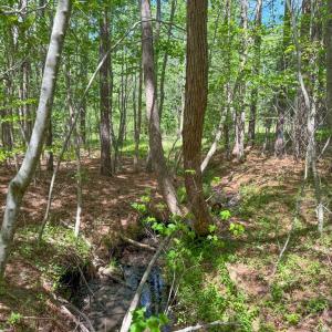 Photo #14 of Tyler Road, Crewe, VA 10.0 acres