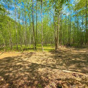 Photo #15 of Tyler Road, Crewe, VA 10.0 acres