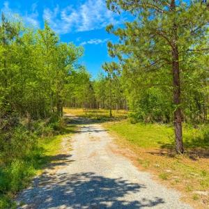 Photo #16 of Tyler Road, Crewe, VA 10.0 acres